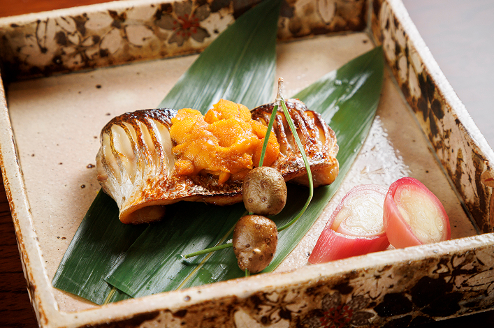 褐(かち)コース